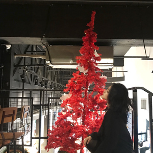 国产国语对白露脸
